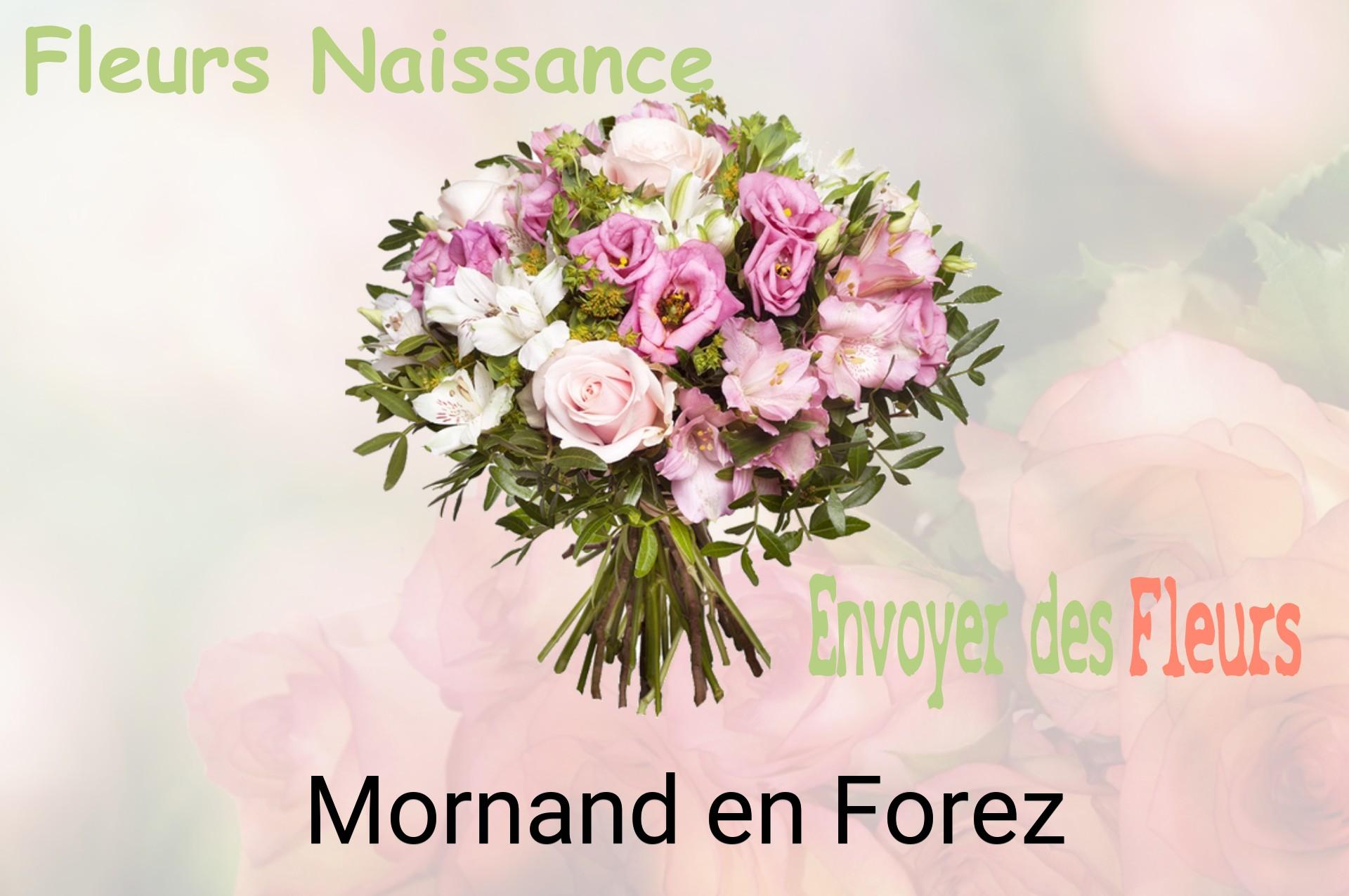 Bouquet de fleurs de naissance livré à Mornand-en-Forez